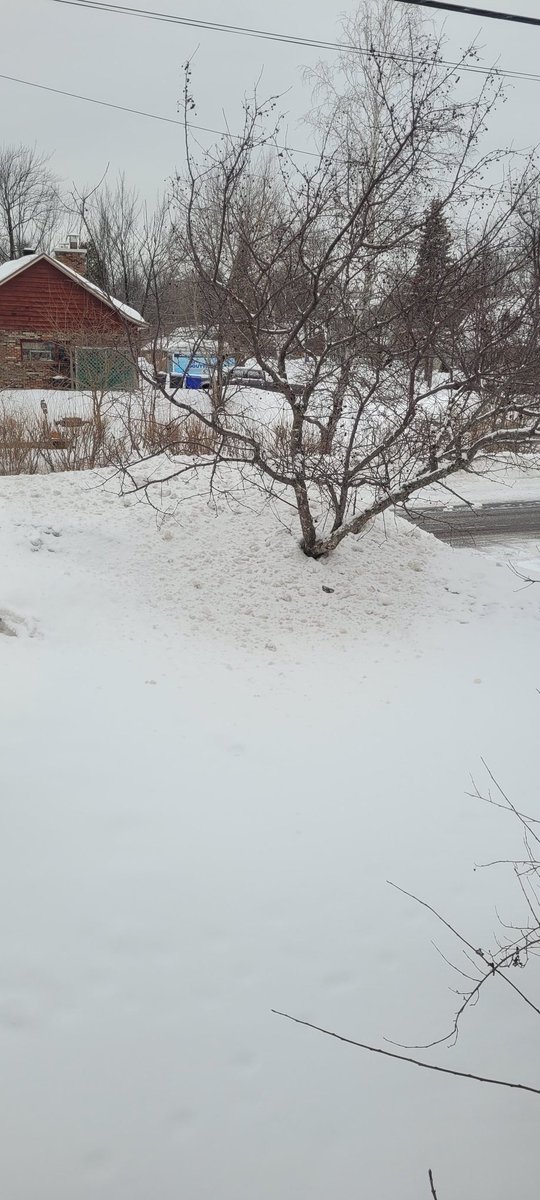 Stéphanie Allard tweet media