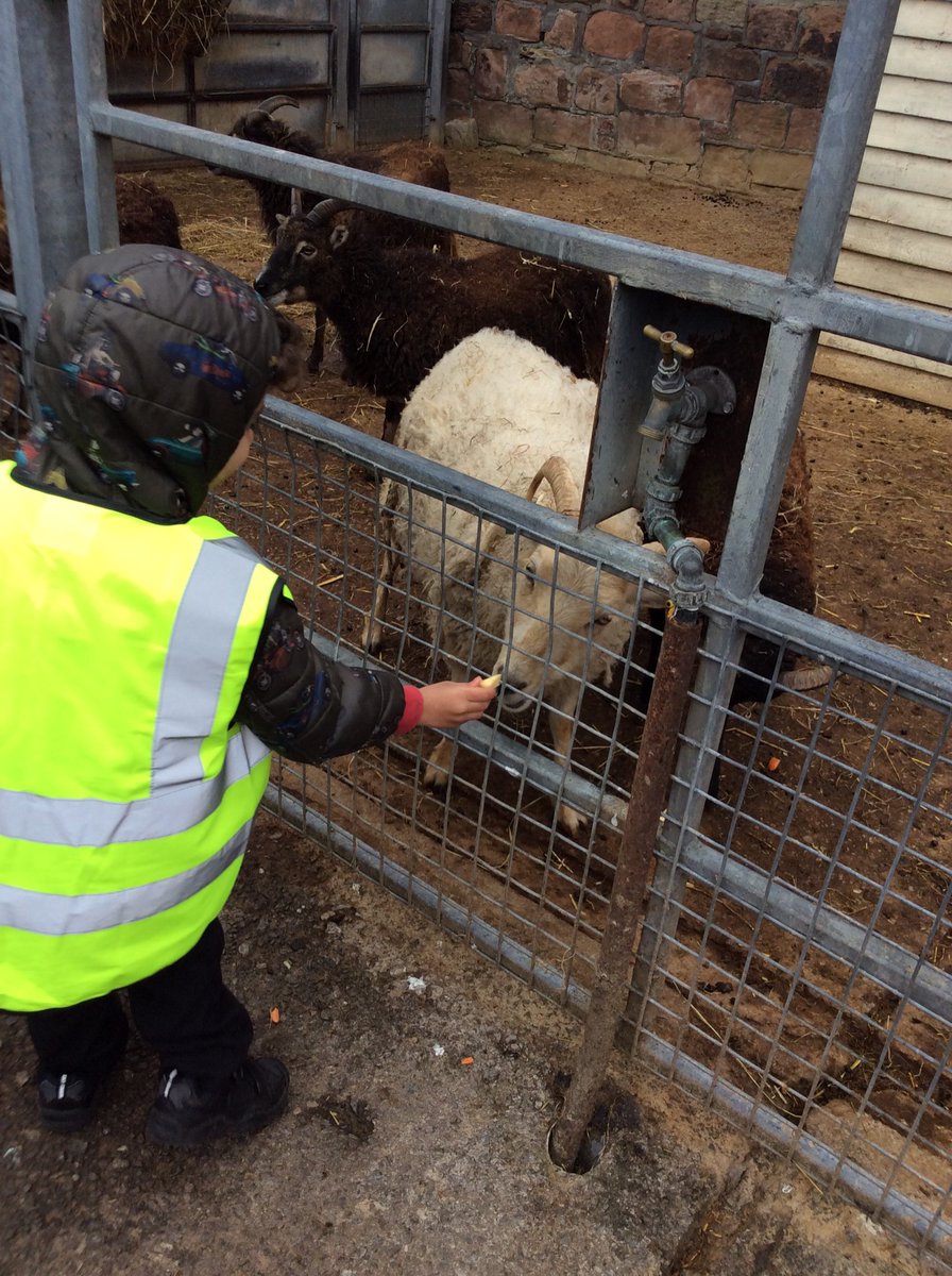 Mrs Karkoszka tweet media