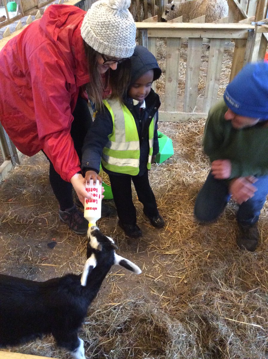 Mrs Karkoszka tweet media