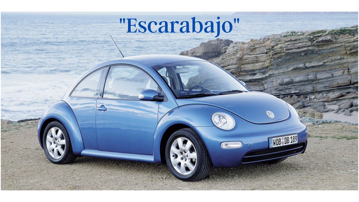 navauto's tweet photo. ¿Sabías que el 20% de los conductores busca un apodo para su coche?🤔

¡Dinos cuál es tu coche y que apodo le pondrías!😆

#Navauto #tallerpamplona #reparaciones #mantenimiento #coches #apodo #mote #escarabajo https://t.co/1P8rFdooWU