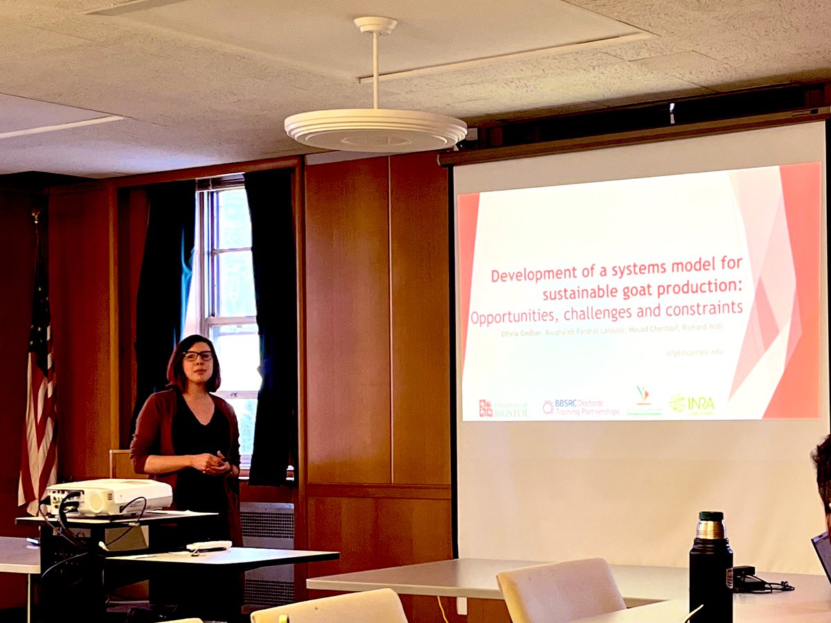 fl_o_livia's tweet photo. It was a great trip down memory lane on Monday as I talked to the @CornellAnSci modelling group about my #PhD research on #Goat #SystemsModels, and the opportunities, constraints and limitations of working in #MarginalEnvironments. Thanks for the invite @jorgebarrib!
🐐🇲🇦📈 https://t.co/inDoP4rUFn