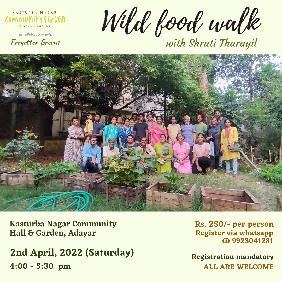 shrutitharayil's tweet photo. On popular demand, we are excited to share that we are doing one more round of #wildfoodwalk at @communitygardenchennai this Saturday (April 2nd).
Do spread the word in your circles! You can also consider gifting this learning opportunity to your friends in Chennai. https://t.co/31SqzgBbBz