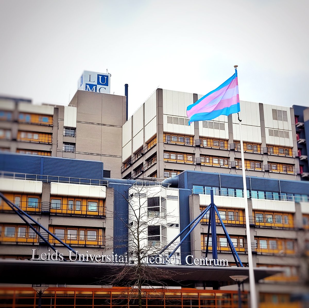 TRANSGENDER ZICHTBAARHEIDSDAG | Vandaag (31 maart) vieren we de genderdiversiteit die onze samenleving alleen maar keurrijker maakt. Zo vieren wij deze dag ook bij het LUMC. Het LUMC is er voor iedereen! #prideweek