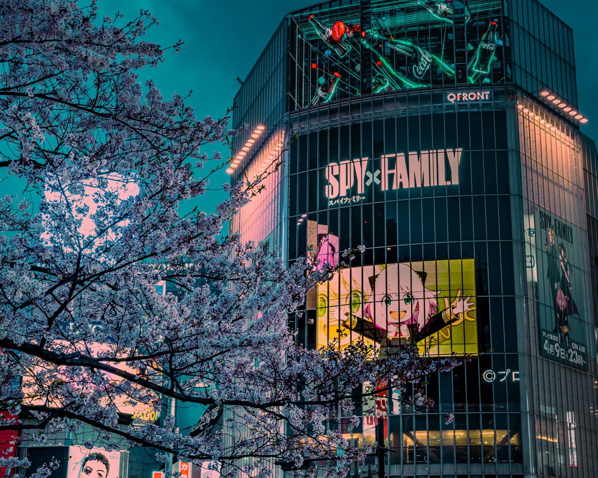e_tk77's tweet photo. 渋谷 桜
#写真好きな人と繋がりたい #カメラ好きな人と繋がりたい #tokyocameraclub #photography #streetphotography https://t.co/aTDDzyD8fv