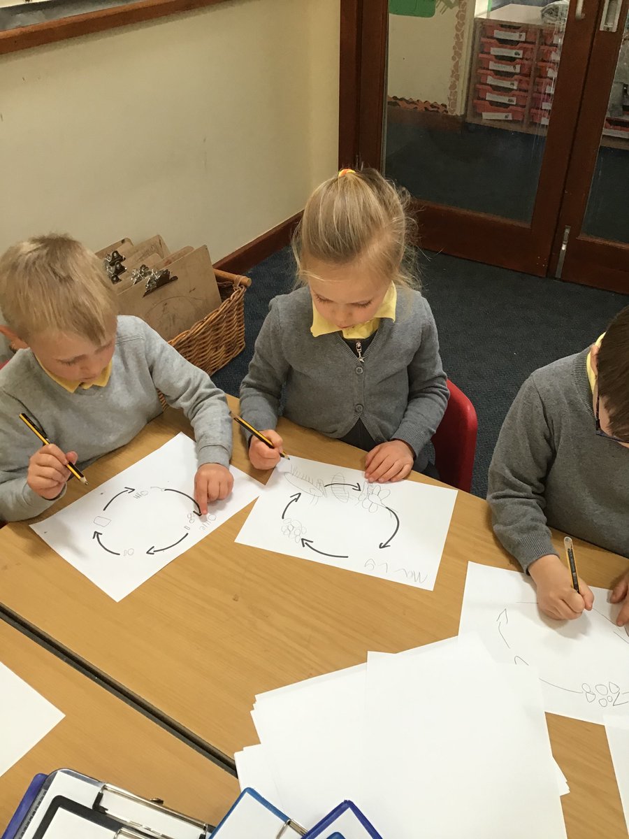 RedClassCharlt1's tweet photo. We have been learning about Life Cycles this afternoon 🐛🦋 https://t.co/iWoa5OAXIb