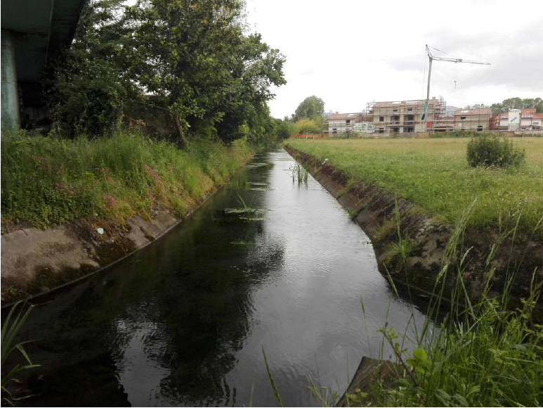 Un milione e 400mila euro per la messa in sicurezza del bacino idraulico della Fossa Maestra, in zona Battilana: dall’assemblea del Consorzio il disco verde al finanziamento, che permetterà l’avvio dei cantieri 
cbtoscananord.it/archives/33919