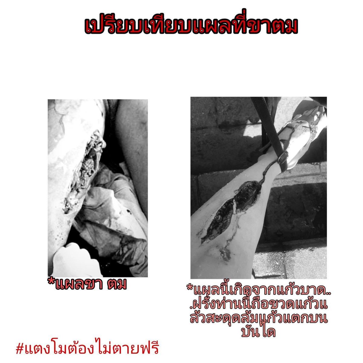 #แตงโมต้องไม่ตายฟรี