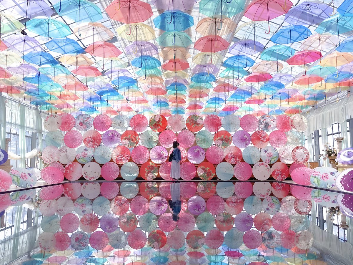 okakoomaco's tweet photo. ☂︎*̣̩⋆̩* #猪苗代ハーブ園  #photo https://t.co/njQ1LRuRyM