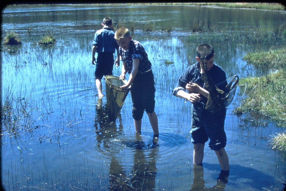 NJSOC_Friends's tweet photo. Another NJSOC #ThrowbackThursday gem! Look at these lads muckin' about in Lake Wapalanne as part of our Water Ecology programs (that still continues to this day!).
#neverstoplearning #NJecology #NJconservation https://t.co/96258iU6zP