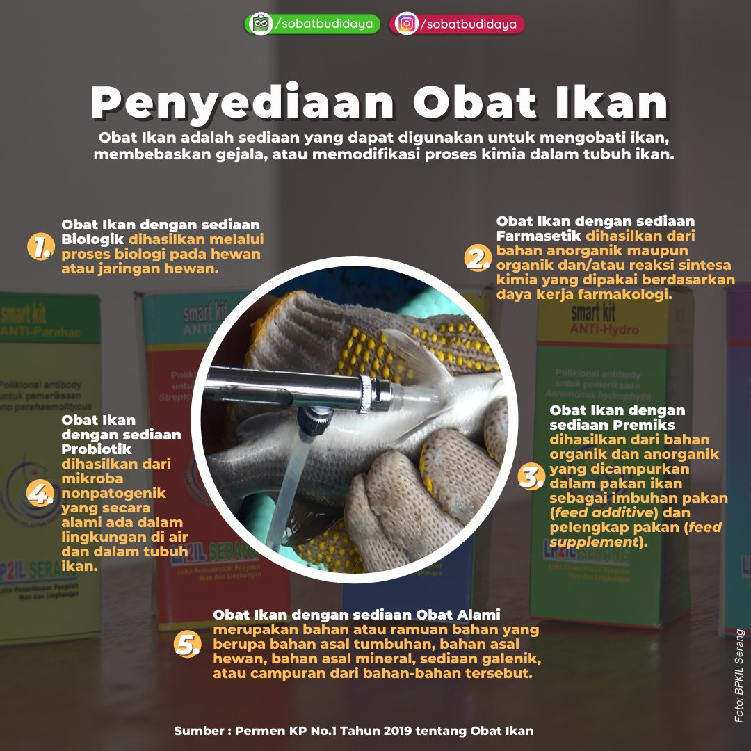 #sobatbudidaya #Indonesia, yuk kenalan lebih dekat dengan obat ikan 😊

#obatikan #fishmedicine #fishdisease #penyakitikan #penyakitudang #akuakulturnews #akuakulturnews #akuakulturindonesia 

instagram.com/p/CbwG_qiPgsV/