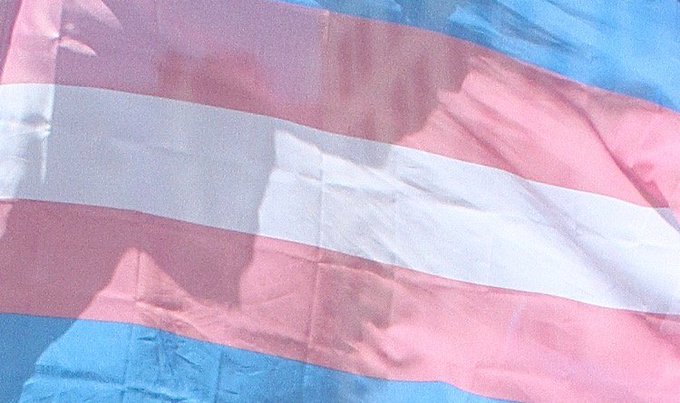 Today, on the #TransDayofVisibility, we celebrate trans, non-binary and gender diverse students, staff, faculty and alumni. ✨