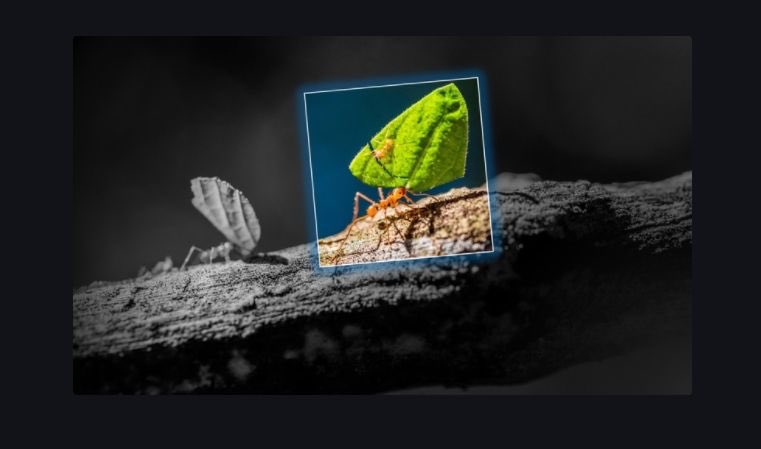 Need for a 'Grace Period' 
for the SWIFT #CBPR+ (MT -> MX) Migration? We are here to help.
Lookout for the ICE- Incentage Conversion Engine

FIN - #ISO20022 Conversions
bit.ly/3tUGAlO

#Fintech #Payments <a href="/swiftcommunity/">Swift</a> #wealthtech #openbanking #cbdc #lowcode