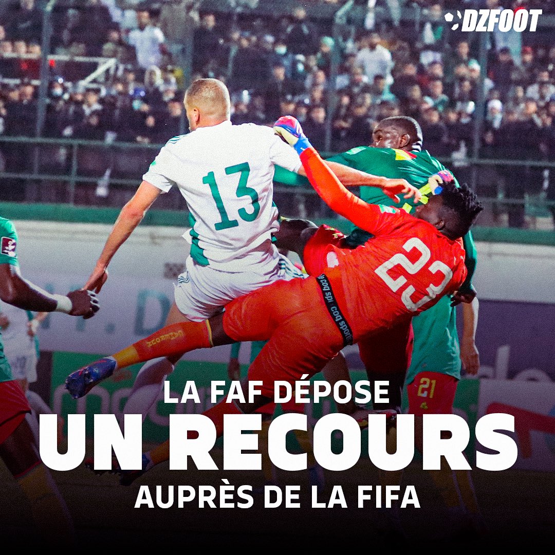 DZfoot's tweet photo. 🇩🇿🇨🇲 La FAF dépose un recours auprès de la FIFA pour évoquer les éléments tangibles concernant l’arbitrage lors de la rencontre Algérie-Cameroun à Blida. #ALGCMR #TeamDZ https://t.co/bTsb4c2GPc