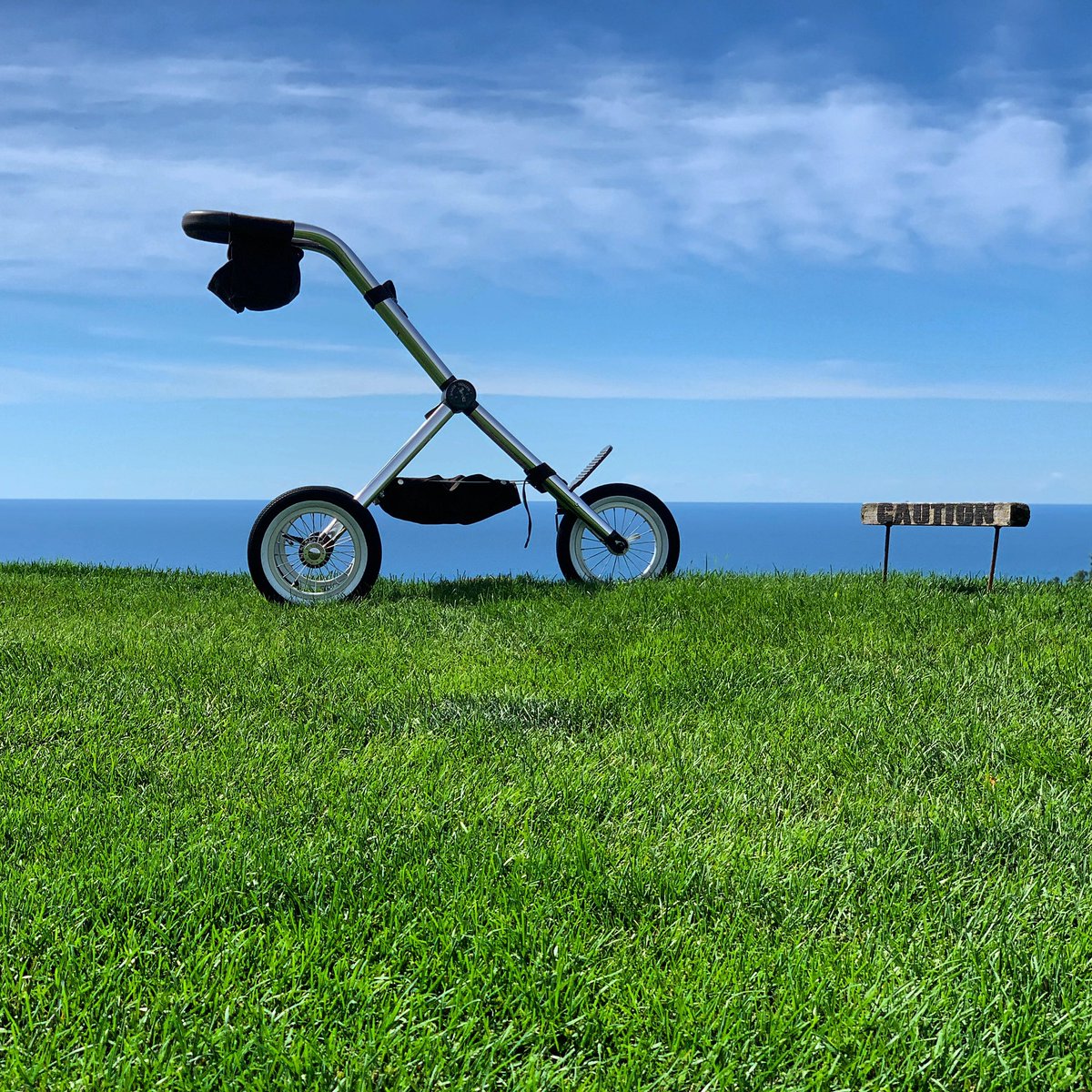 WalkerTrolleys tweet media