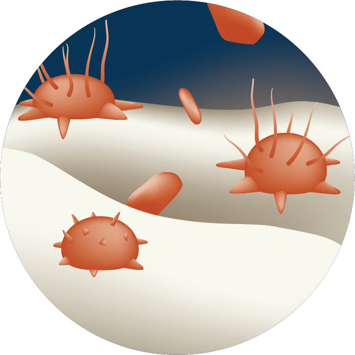 #boneregeneration #tissueregeneration #mbcptechnology
#step8 #boneregeneration #initiation
Step eight in the bone regeneration process happens when osteoblasts migrate to the surface: freshly re-modeled by osteoclasts
#knowledgesharing #knowledgeexchange #keeplearning #followus