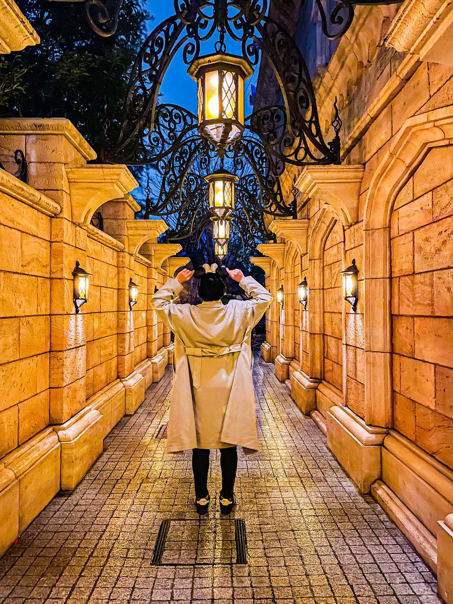Dis_fumiyaaa's tweet photo. 今日は東京ディズニーランドにお邪魔しました✨🏰

スタンバイパスのキャン待ちのプロすぎて、既に発見終了してた美女と野獣を2回も拾ってしまっためちゃくちゃに充実してました🥀

#Disney #DisneySea #tokyodisneyresort 
#ディズニー好きな人と繋がりたい 
#カメラ好きな人と繋がりたい https://t.co/qFC61xg5mX