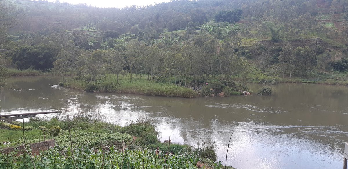 JustinNkumbarhi's tweet photo. #VisiteRDCongo: "Pour vous la rivière ruzizi. Ici c'est la frontière Ruzizi2. Pour rappel cette rivière est longue de 117Km et été formée il y a environ 10 mille ans. Ces eaux arrivent à Matadi. Lac Kivu-Tanganyika-Luguga-Fleuve-Océan", @benjimk @CongoTourisme @TourismeRDCongo https://t.co/Vv54ejds0v