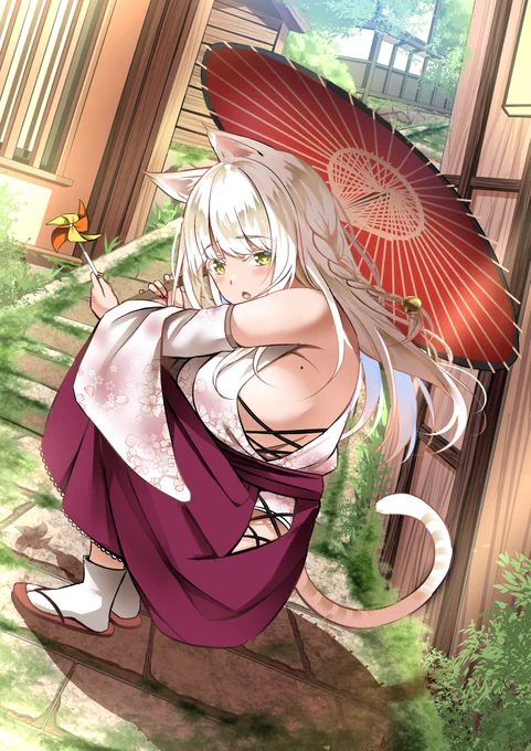 迷い猫🐾 