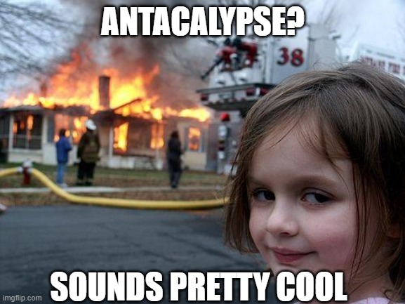 Sol_Alchemist's tweet photo. @AlienAntsGen1 #AlienAntsGoMoon #AAApoc #AlienAntAnthology #AlienAntCodes $AAA #Antkrieg #Antacalypse #chitchit #SolanaNFTs #ethereumNFTs #nfts #nfts #NFTCommunity https://t.co/0Lju2WR6iZ
