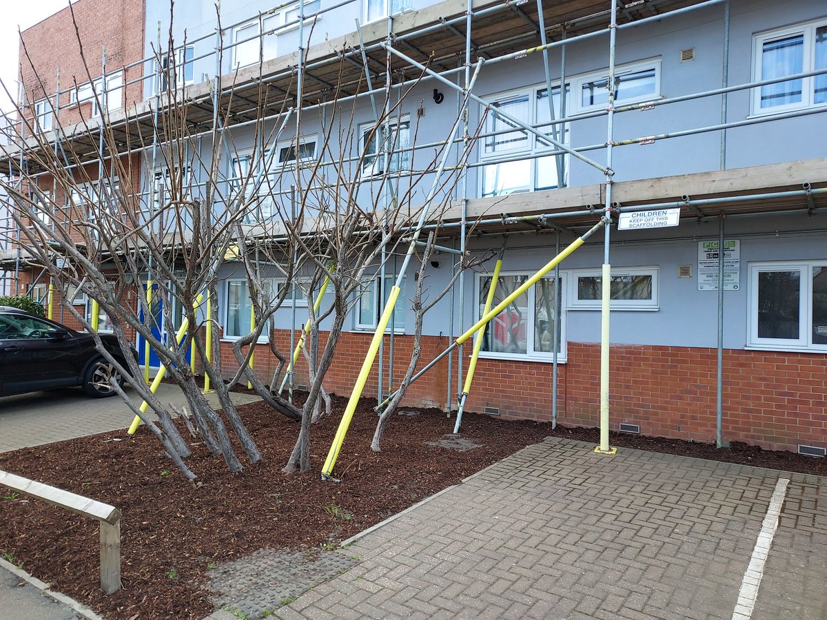 Very happy with the clearance of overgrown shrubs at the front of Gulab Court (see before and after pictures) new wood chips and bordering has been installed #TeamPurple @pa_housing