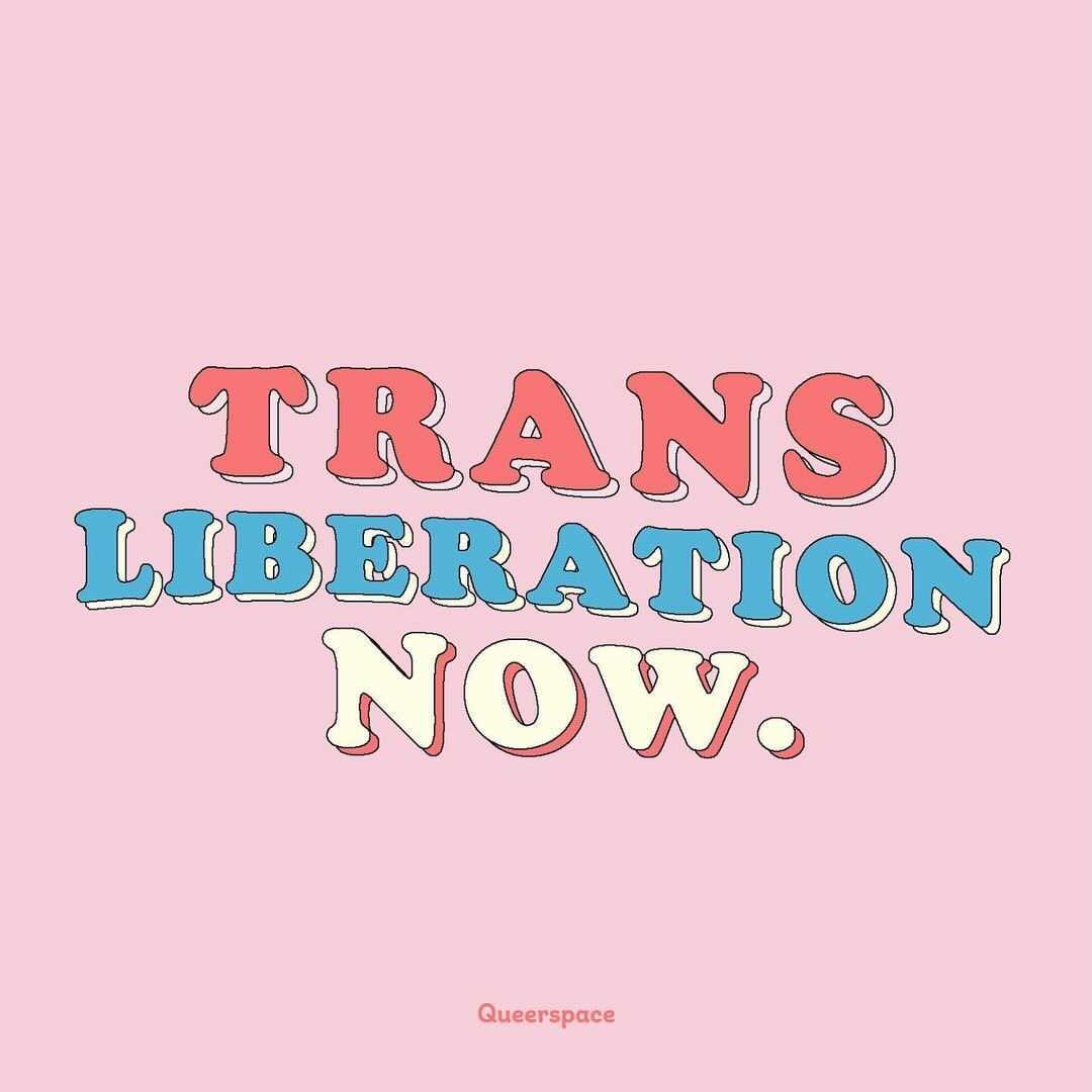 PPAOhio's tweet photo. Happy #TransDayOfVisibility from the trans person who runs this account! 

Trans and non-binary communities deserve the right to bodily autonomy (including accessing abortion care!) ─ free from discrimination, barriers, or judgment.

We are here to stay. 

#TDOV https://t.co/TdivjMoR3s