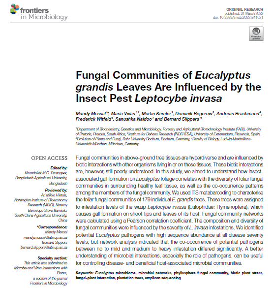 Mandy Messal tweet media