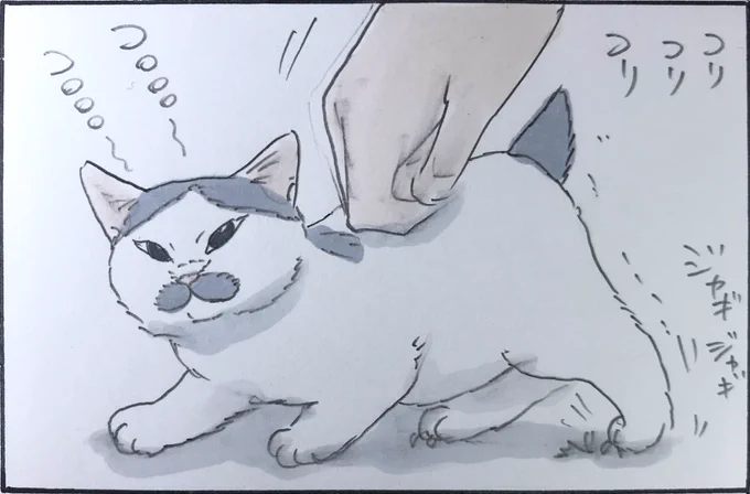 『超甘えんぼ状態』 