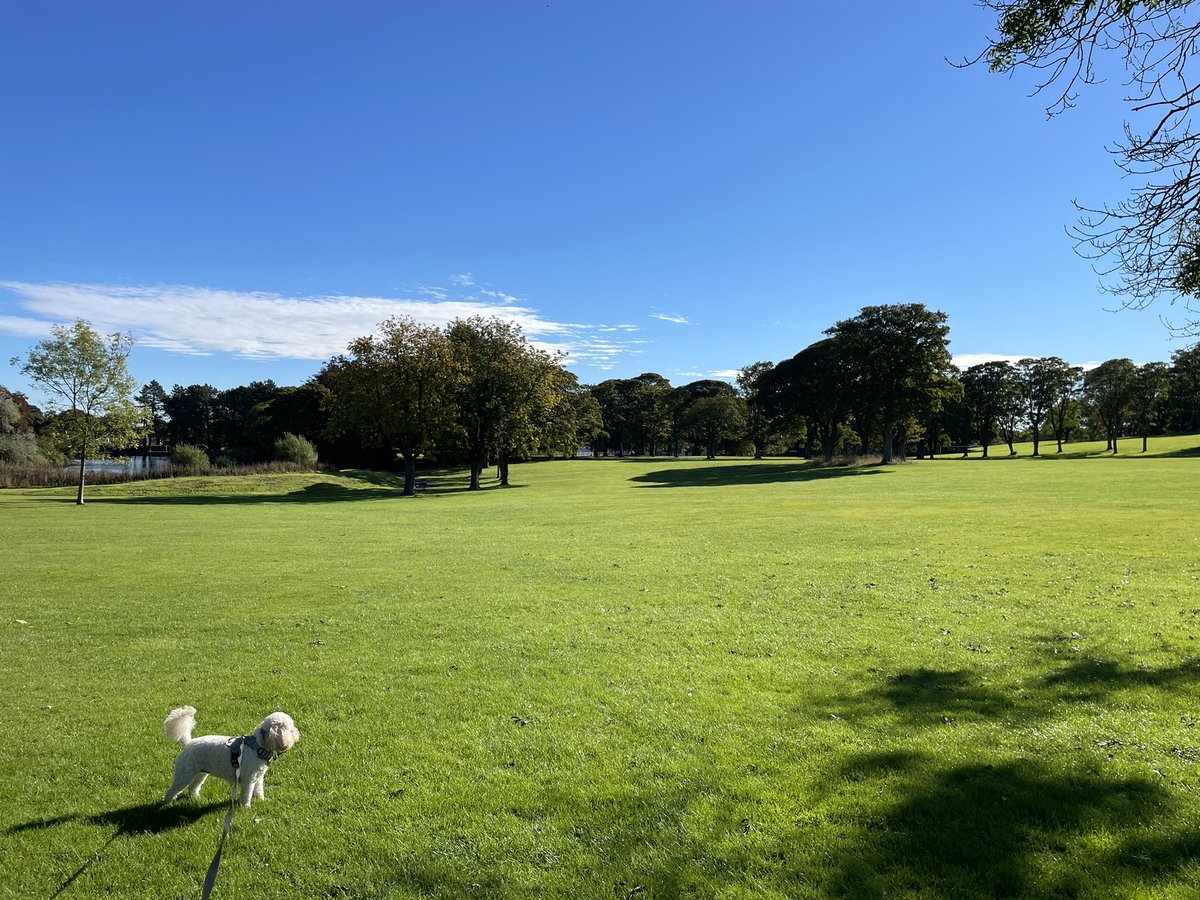 Tweedle_Dees's tweet photo. @strategywoman I’m from Kirkcaldy, Fife, Scotland. Just been on a walk. Love it here as there is both beach and parkland and just a 30 min train ride from Edinburgh. https://t.co/XZhsGXKqDc