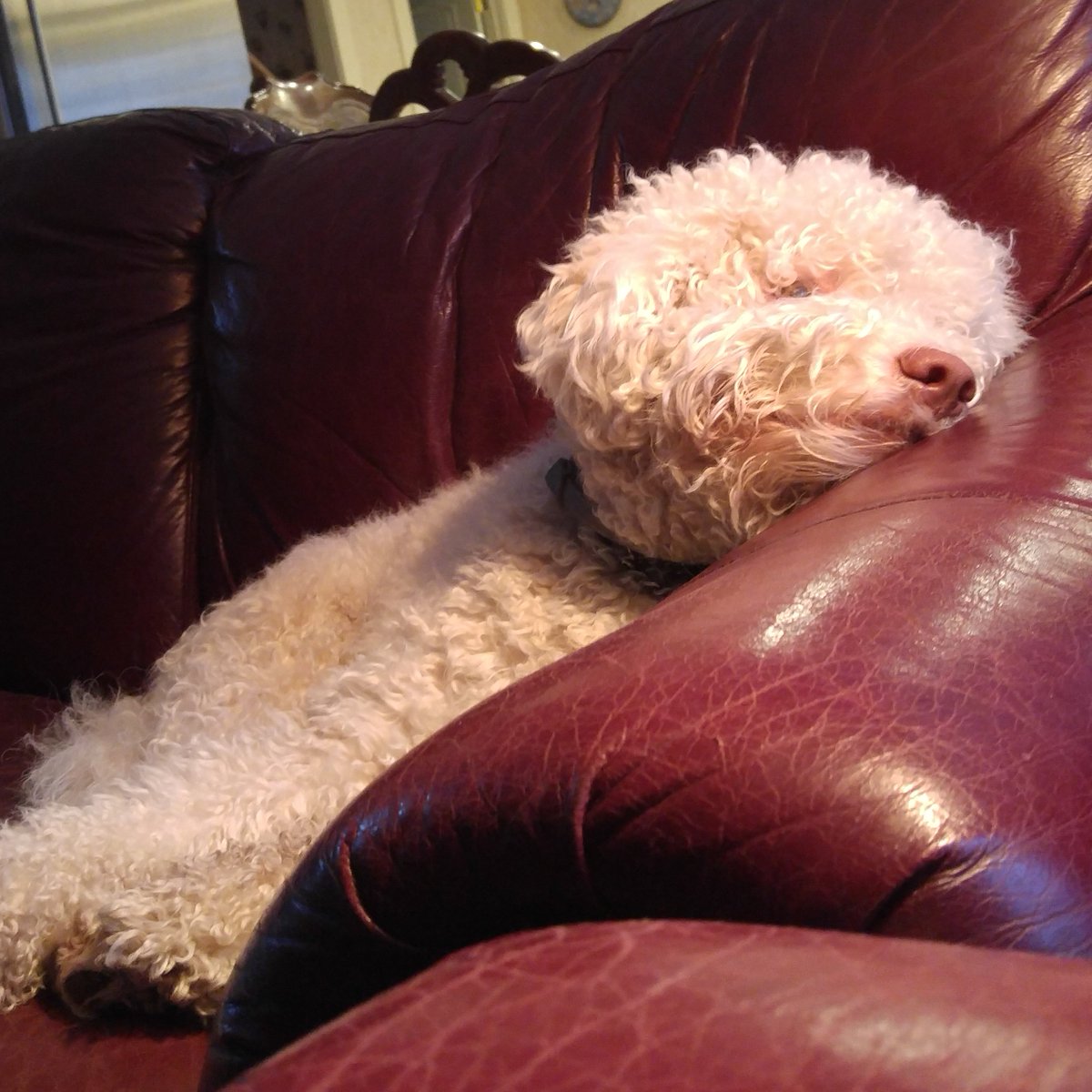 Theo-sophy tweet media