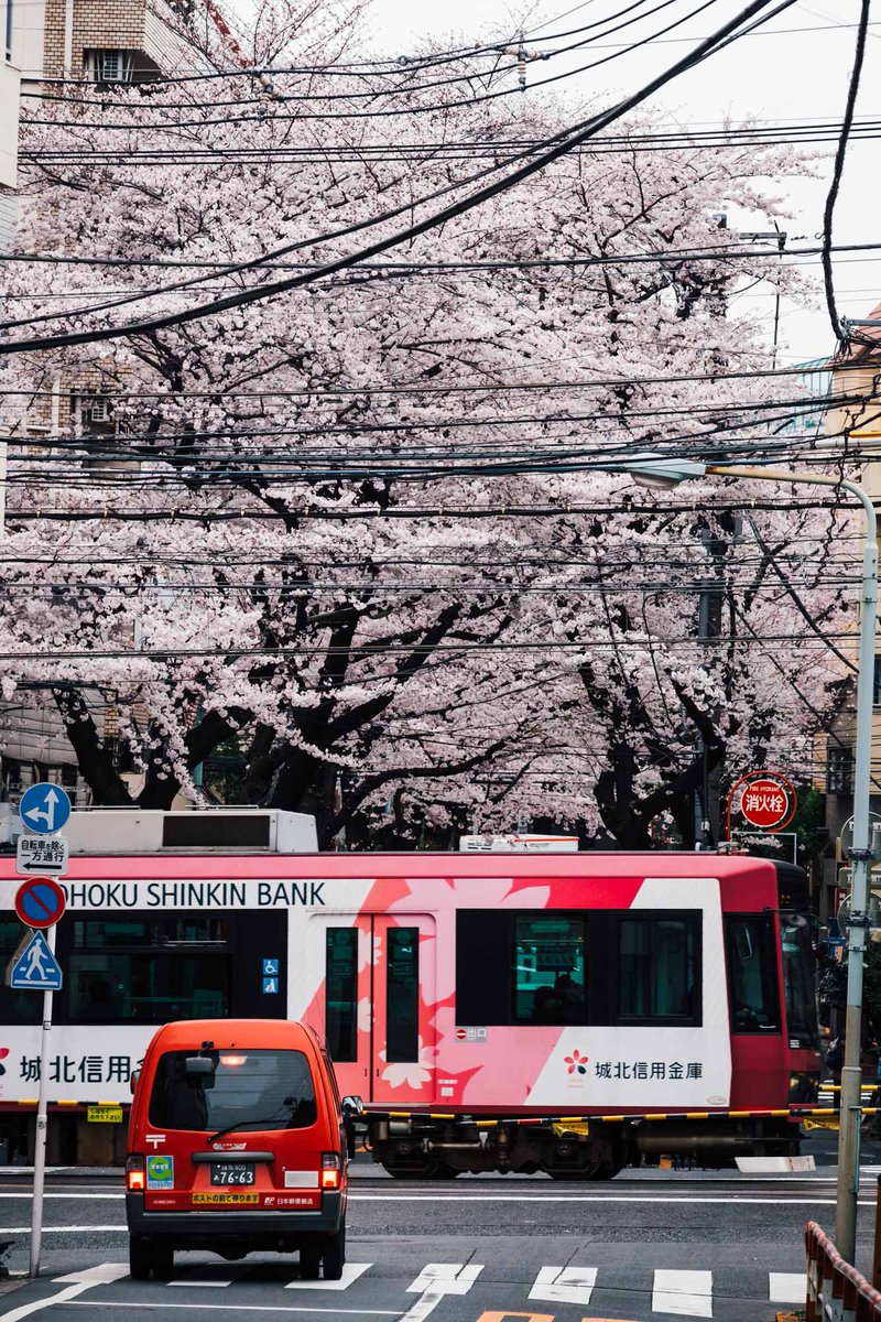今月の大塚スナップです。実は大塚は桜並木が豊富にある街。散り際も綺麗だろうな。 #ironowa_ba