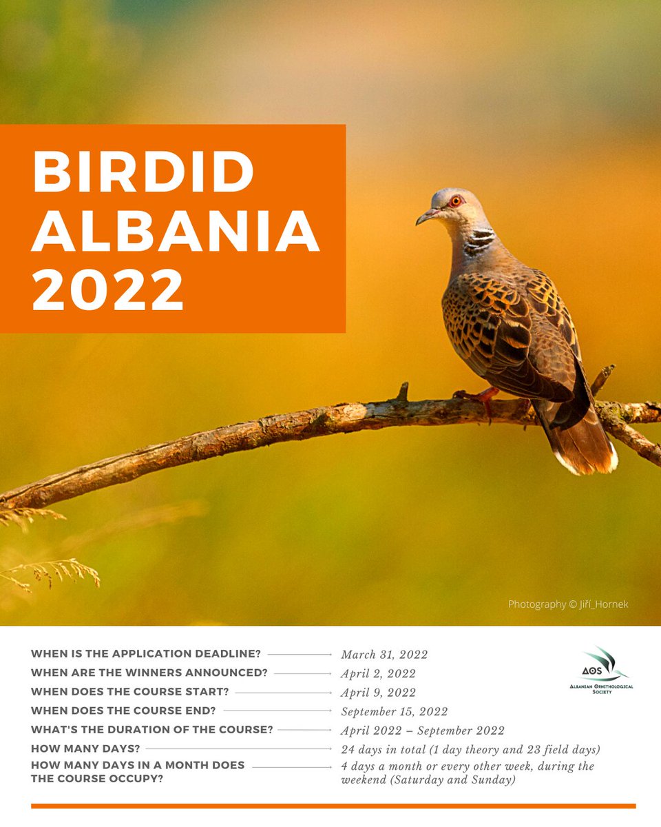 AOS_ALB's tweet photo. Dita e fundit për të aplikuar për Kursin III të Identifikimit të Shpendëve të AOS/ Last day to Apply for AOS’s Bird Identification Course III

⏳Afati i fundit, 31 Mars 2022, ora 23:59.
⏳Deadline, 31 March 2022, at 11:59 PM.

https://t.co/eCLkJ5Y6LS
#aos #aosalb #birdidalbania https://t.co/1LfRZ68zzH