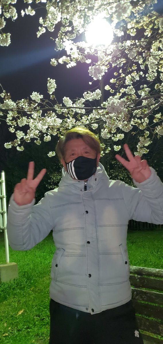 HirokiHarada2's tweet photo. ゴルフからの～夜桜で花見🌸🍶
足と腕に筋肉痛が来てるのは内緒😁
今日は寒いからお湯割りと熱燗がおいしいね～
皆さんも花見しましたか？

#ゴルフ#桜#夜桜#お酒#熱燗#春 https://t.co/DKwlXenDDu