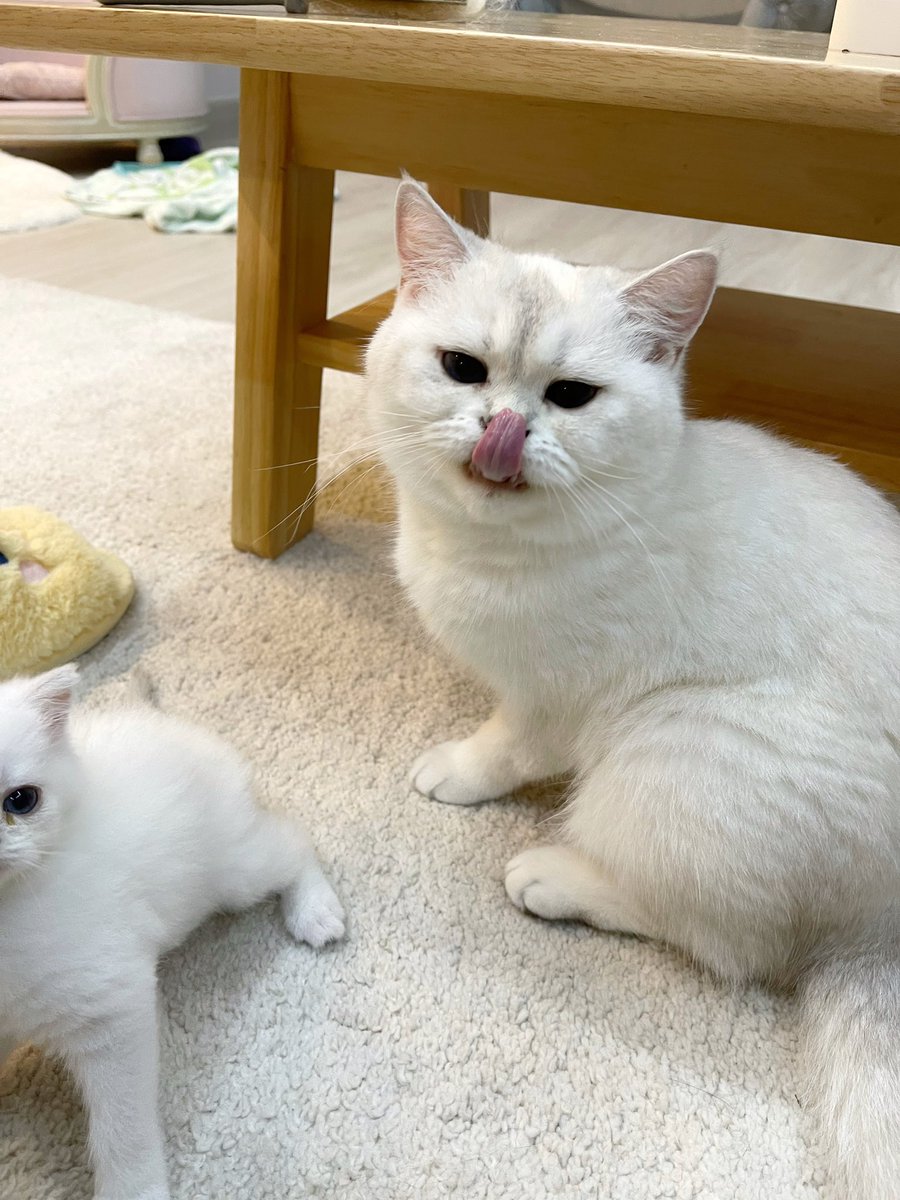 แบ่