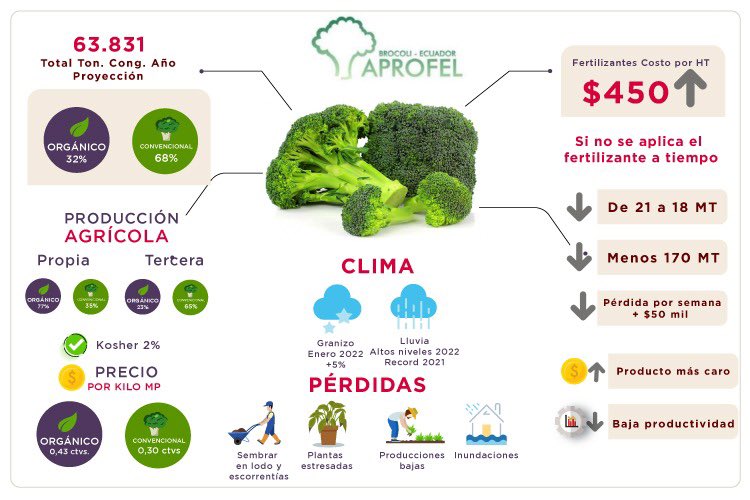aprofel's tweet photo. La realidad de un sector debe ser vista desde una óptica global. 

Aquí una muestra pequeña de cómo algunas variables afectan de diferente forma al mejor Brócoli del mundo 🥦🇪🇨 https://t.co/zEw7hySxms