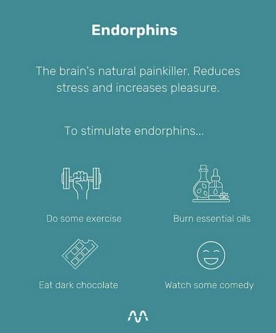 NoteToCare's tweet photo. 2. Endorphins https://t.co/hW6FR9NWDn