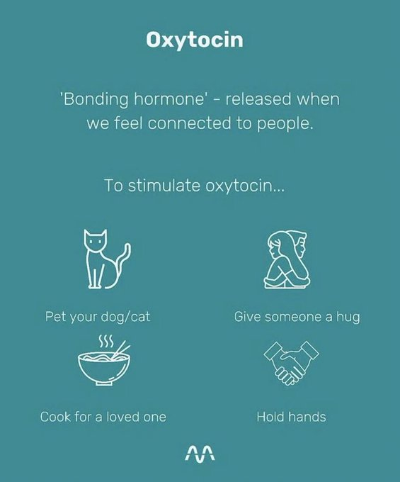NoteToCare's tweet photo. 3. Oxytocin https://t.co/HmTpi364WZ