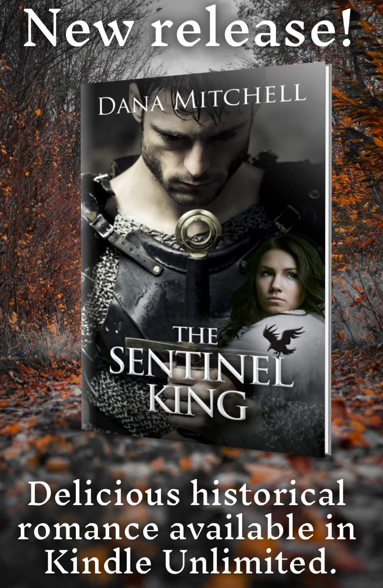 dana0mitchell's tweet photo. Love your romance with warriors, swords and magic? Pick up the SENTINEL KING! Out NOW!! 
https://t.co/TseTxOFxED https://t.co/jyOa94LQwc