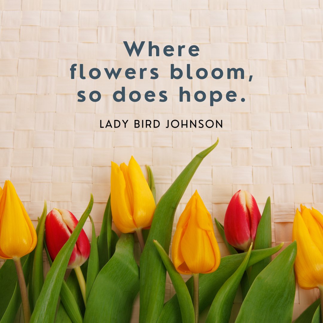 The flowers are starting to bloom again and so is our hope for brighter days.  Let's leave behind the gloom of winter and work toward better. 

#hopeforthefuture #springblooms