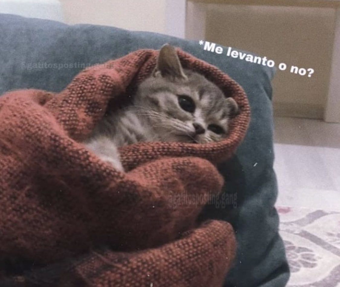 Yo todas las mañanas: