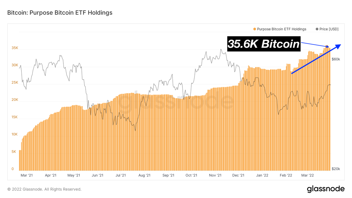 BitcoinArchive's tweet image. Canadian #Bitcoin ETF by Purpose keeps buying spot. Now holding 35.6K #Bitcoin in total. 🇨🇦❤️🍁