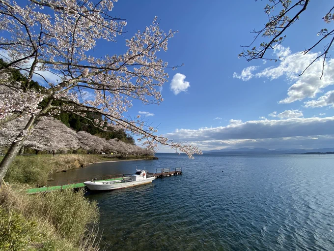 今月のXキャリバーの舞台は、僕の地元の景色をモデルにしているのです。扉絵みたいな桜の名所が実際にあります。写真は数年前の満開時に撮影したものですが、今の時期はまだ蕾。春の訪れはもう少し先…! 