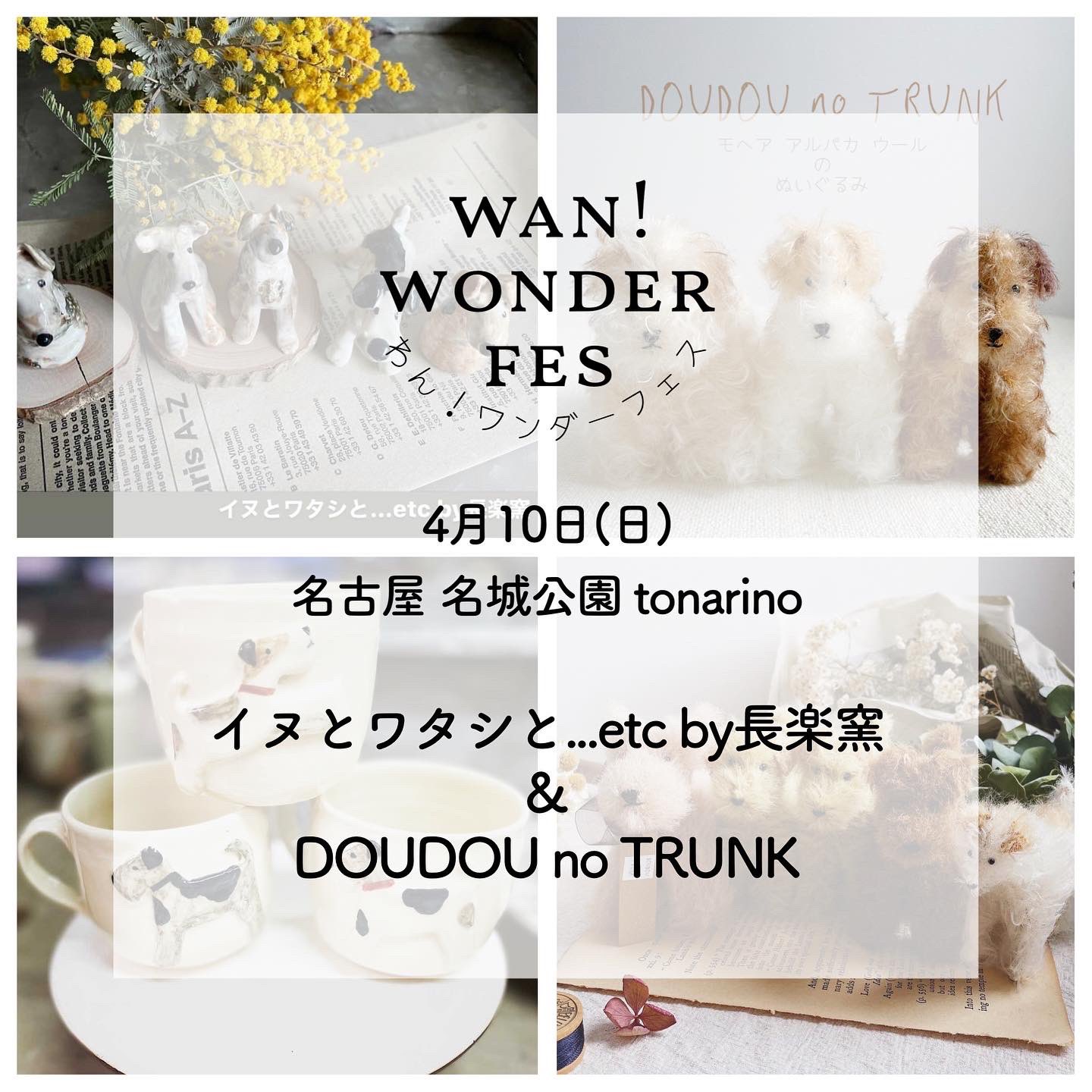 Doudounotrunkドゥードゥーのトランク Doudounotrunk Twitter