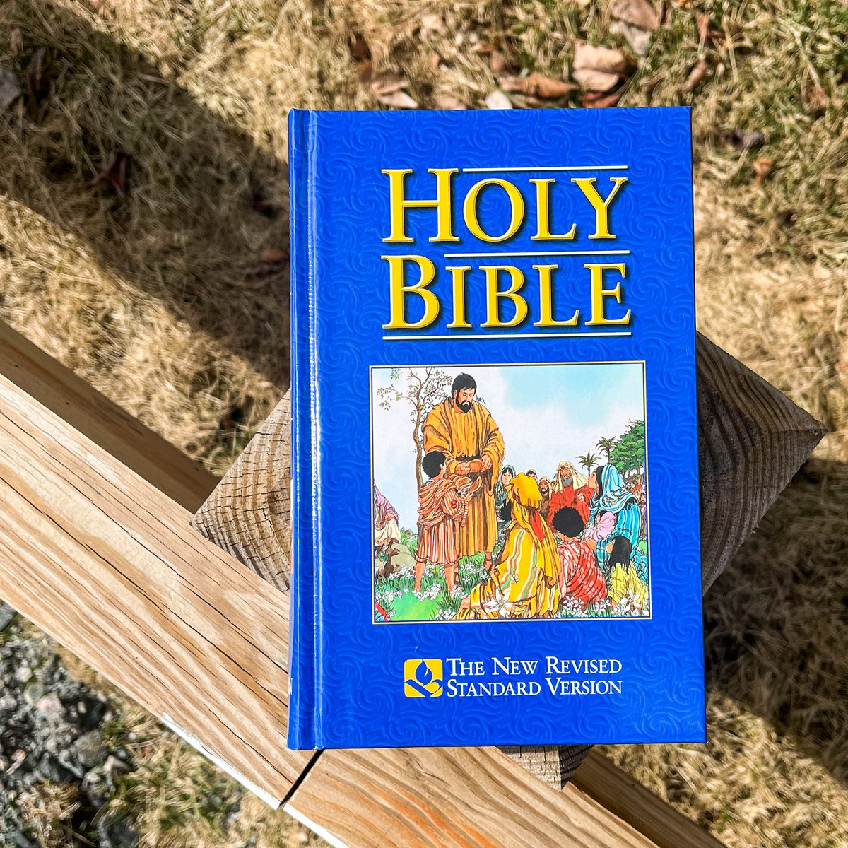 RoseKidzBooks's tweet photo. Last chance! Our Spring Bible Sale ends at 11:59 PM EST tonight! The Holy Bible pictured is great for kids ages 7-12! One of our favorite things about this Bible are the graphics dispersed throughout!

Shop all Kids Bibles on SALE here: https://t.co/be7xBowxL2 https://t.co/XbtznVK0wu