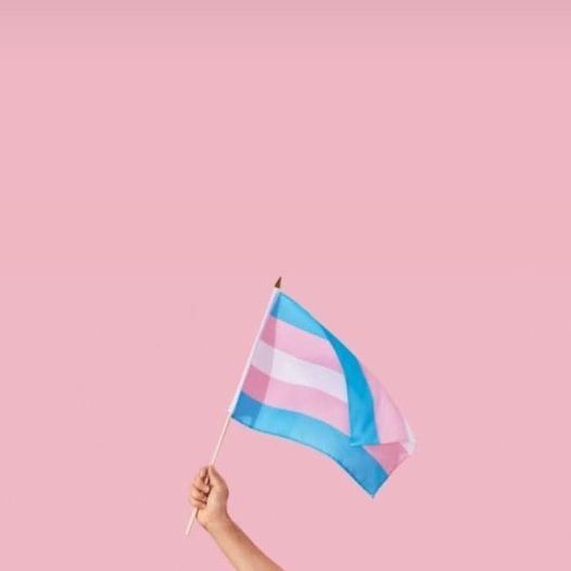 POLinclusive's tweet photo. Happy International Day of Trans Visibility! 🏳️‍⚧️ 
We see you. We acknowledge you. We appreciate you.
#InternationalDayOfTransVisibility #TDOV https://t.co/N9rCaDr7sI