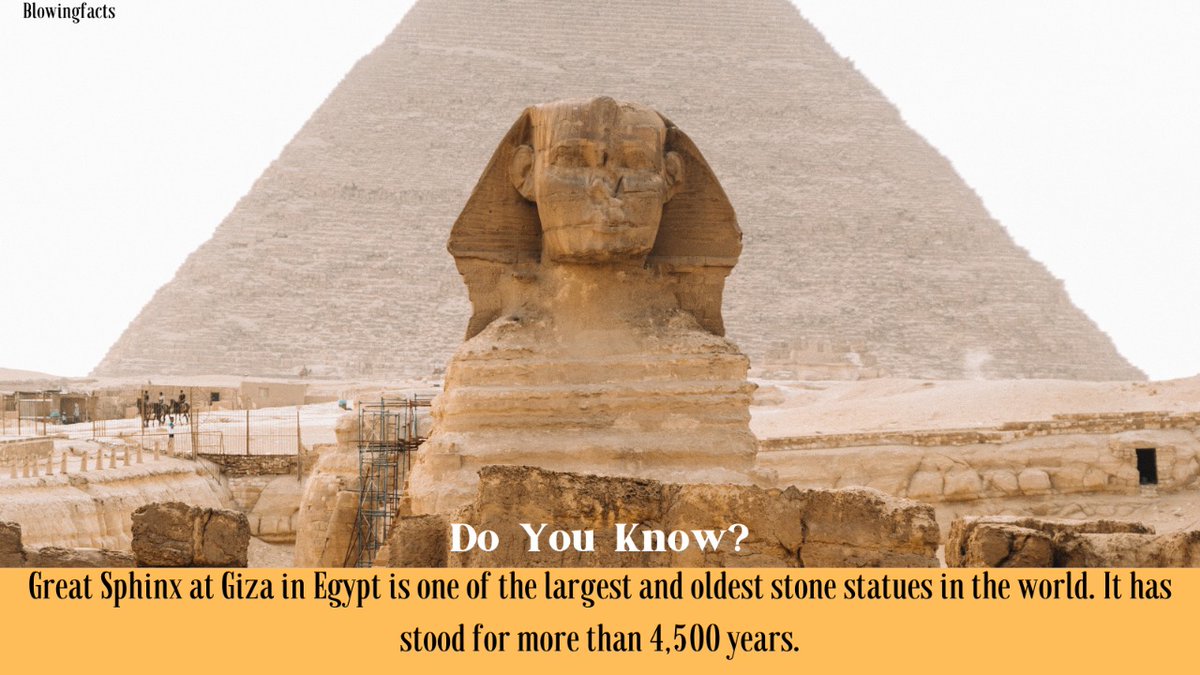 Blowingfacts2's tweet photo. Great Sphinx at Giza, Egypt
#greatsphinx #greatsphinxofgiza #greatsphinxofegypt #stonestatue #stonestatues #factsdaily #factstoliveby #blowingfacts https://t.co/m3xCSBRtiA