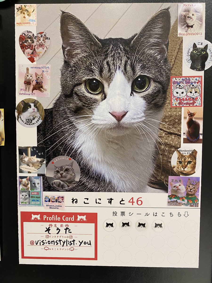 crystalcat2's tweet photo. 【渋谷でこの写真を見たら】
今回の「ねこにすと46／渋谷マルイ」は
そうた🐱のドアップ写真です
.
ハチワレ篇に展示してあります
.
.
見かけたら
🐱シールをポチッと
よかったら
お願い致します😊🐱✨
.
.
#ねこにすと
#ねこにすと渋谷マルイ
#そうた
#ハチワレねこ
#キジ白猫
#保護猫
#猫がいる幸せ https://t.co/pfPGu0erOY
