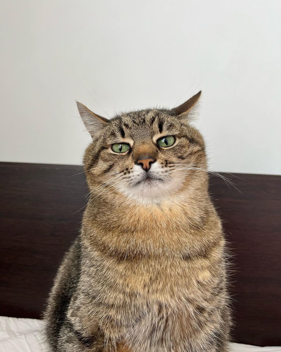 До начала приема электронных заявлений в 1 класс остается меньше суток. Обсуждаем все вопросы здесь: vk.com/topic-16309674…