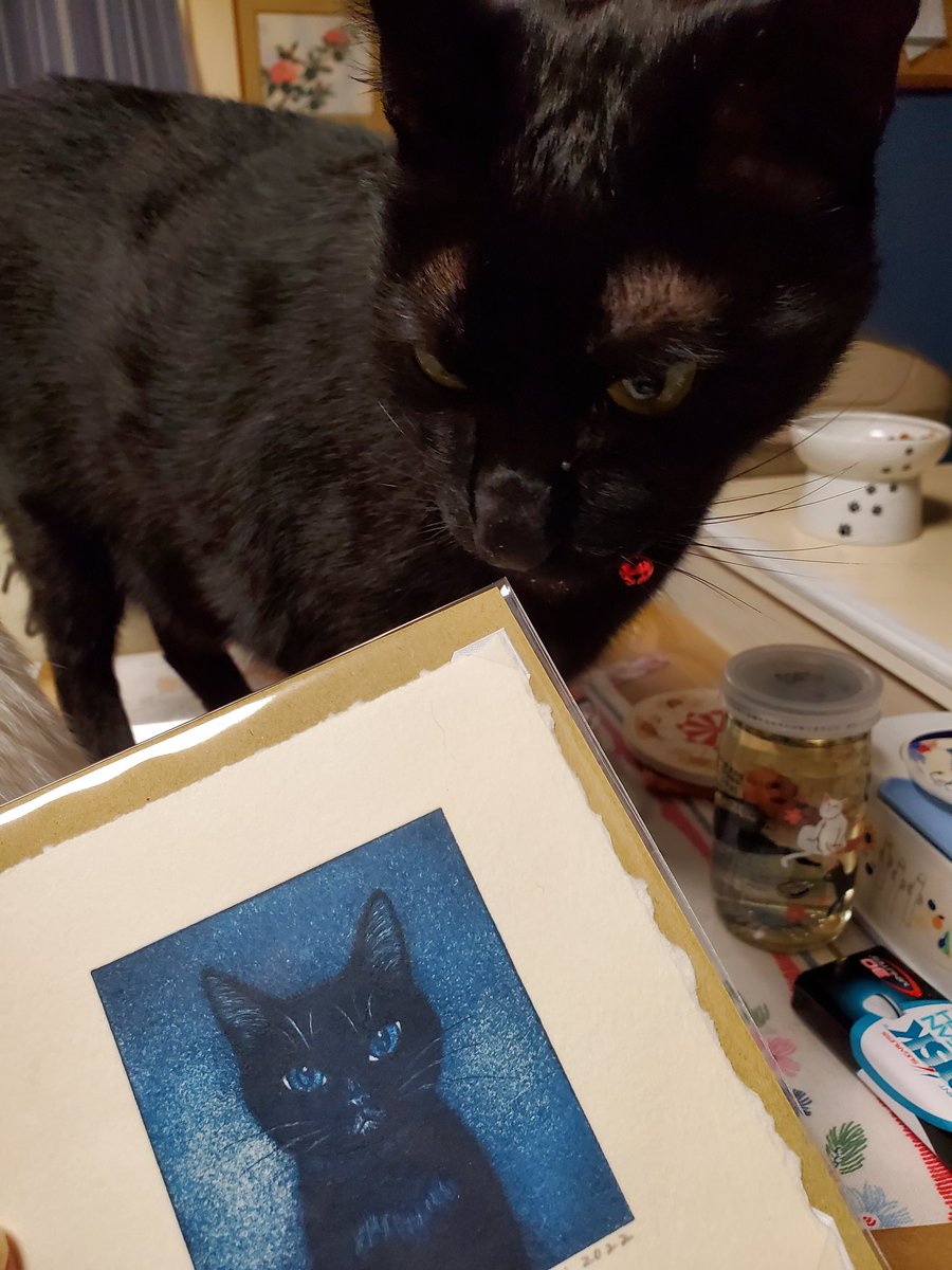 今日は猫部の活動日(笑)
西荻窪のウレシカ <a href="/uresica/">URESICA ウレシカ</a> さんにて
坂本千秋 <a href="/chiakisakamoto/">坂本千明</a> さんの『ねこのねえ』原画展に

欲しくてたまらなかった
『ぼくいし』の雨ブローチもお迎えできました。

#ねこのねえ
#ほくはいしころ
#ウレシカ
#坂本千秋 さん