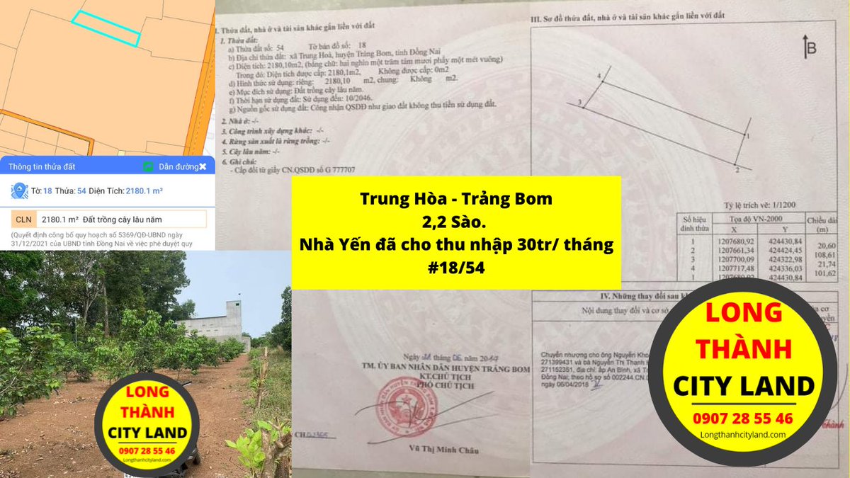 LongThanhLand's tweet photo. Đất ở Trung Hòa - Trảng Bom - Đồng Nai
Diện tích: Diện tích: 2,2 Sào
Có nhà nuôi yến xây đã xây (1,1 tỷ). Thu nhập từ nuôi yến thô là 30triệu/ tháng (có dòng tiền hàng hàng tháng)
Đất vuông đẹp, thanh khoản tốt
Liên hệ đặt cọc: 0907285546 (Có zalo) https://t.co/13Oj4seXIA