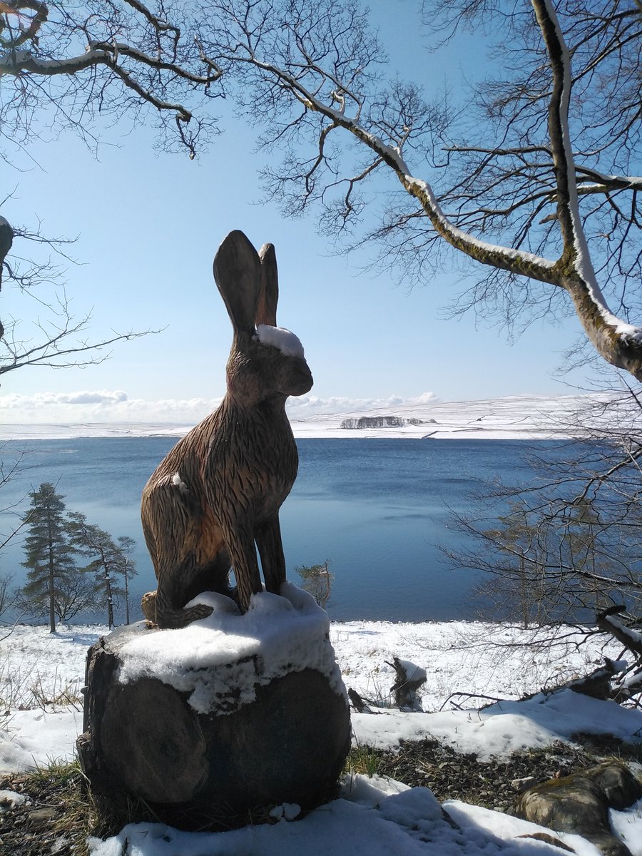 TheDalesNT's tweet image. Just as we thought spring had arrived.........winter returns 📷❄️
#WhereHasTheSunGone #NationalTrust #BringBackSpring